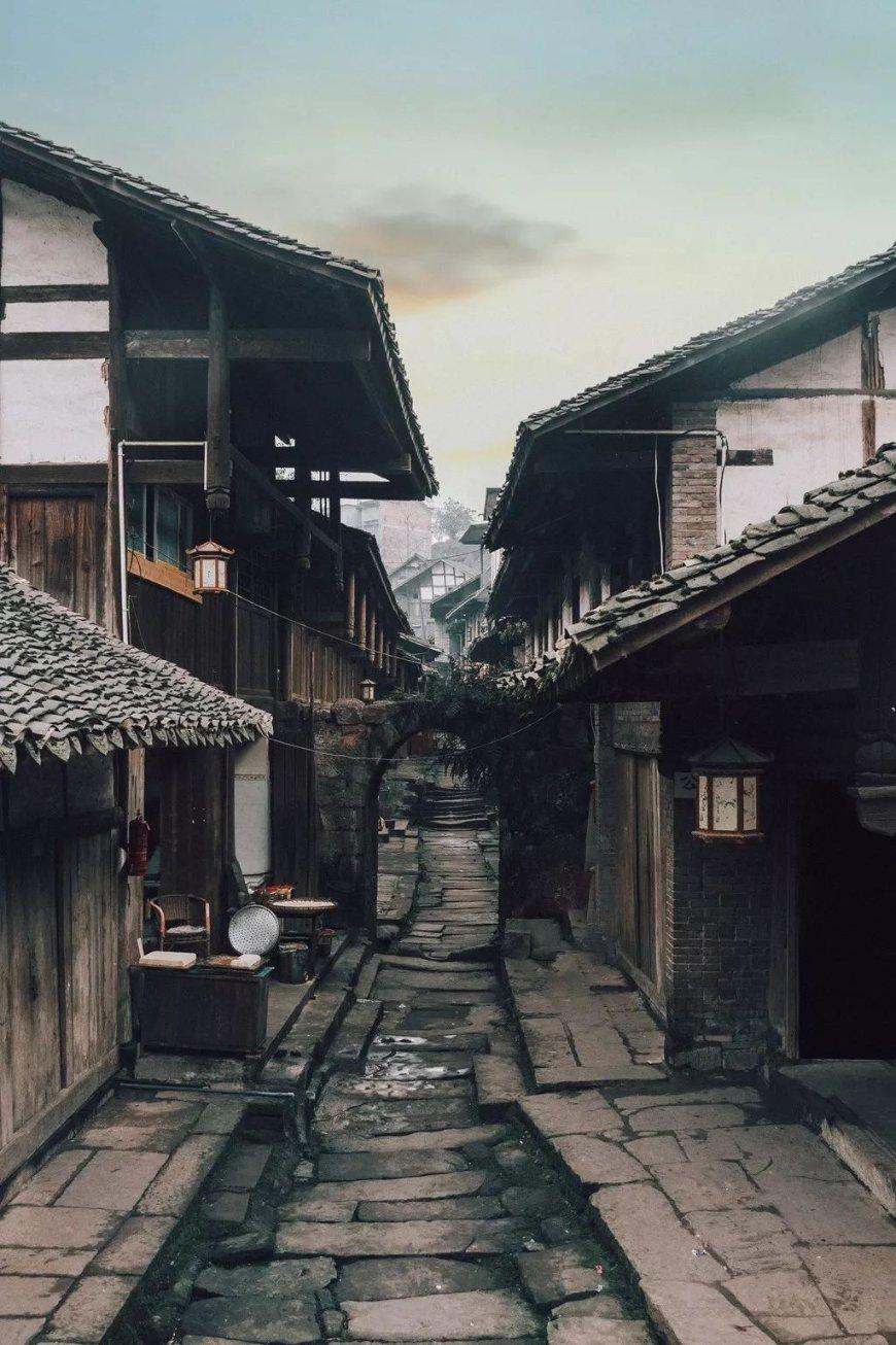 代表委员风采录 | 高娅委员: 积极履职促进教育事业发展